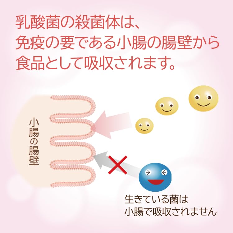 Amazon | プロテサンR62 ソフト顆粒 FK-23乳酸菌1兆個 74.4g 1.2g×62包